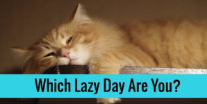 Which Lazy Day Are You?