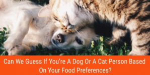 Can We Guess If You’re A Dog Or A Cat Person Based On Your Food Preferences?