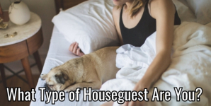 What Type of Houseguest Are You?