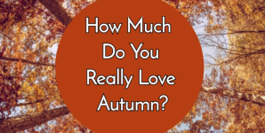 How Much Do You Really Love Autumn?