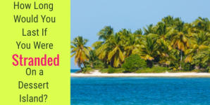 How Long Would You Last If You Were Stranded On A Dessert Island?