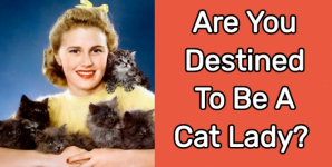 Are You Destined To Be A Cat Lady?
