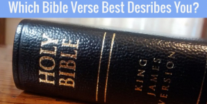 Which Bible Verse Best Desribes You?