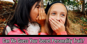 Can We Guess Your Secret Personality Trait?
