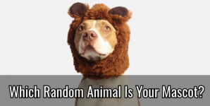 Which Random Animal Is Your Mascot?