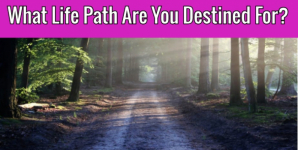 What Life Path Are You Destined For?