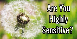 Are You Highly Sensitive?