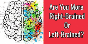 Are You More Right-Brained Or Left-Brained?