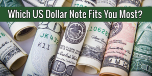 Which US Dollar Note Fits You Most?