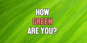 How Green Are You?