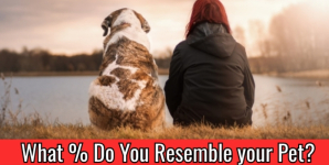 What % Do You Resemble your Pet?