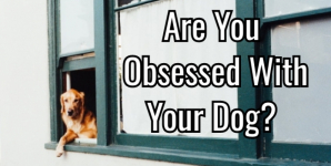 Are You Obsessed With Your Dog?