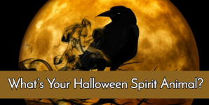 What’s Your Halloween Spirit Animal?