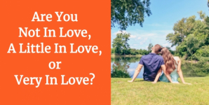 Are You Not In Love, A Little In Love, or Very In Love?