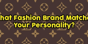 What Fashion Brand Matches Your Personality?