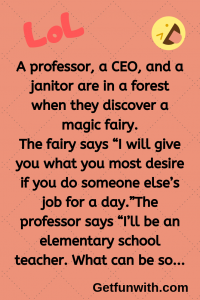 A professor, a CEO, and a janitor are in a forest when they discover a magic fairy.