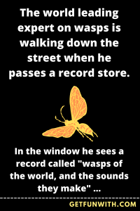 The world leading expert on wasps is walking down the street when he passes a record store.