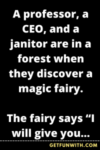 A professor, a CEO, and a janitor are in a forest when they discover a magic fairy.