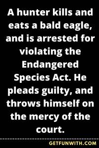 A hunter kills and eats a bald eagle, and is arrested for violating the Endangered Species Act. He pleads guilty, and throws himself on the mercy of the court.