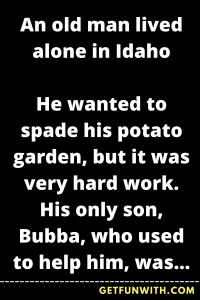 An old man lived alone in Idaho