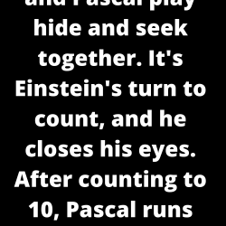 Einstein, Newton and Pascal play hide and seek together